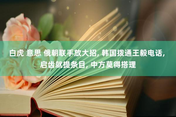 白虎 意思 俄朝联手放大招, 韩国拨通王毅电话, 启齿就提条目, 中方莫得搭理