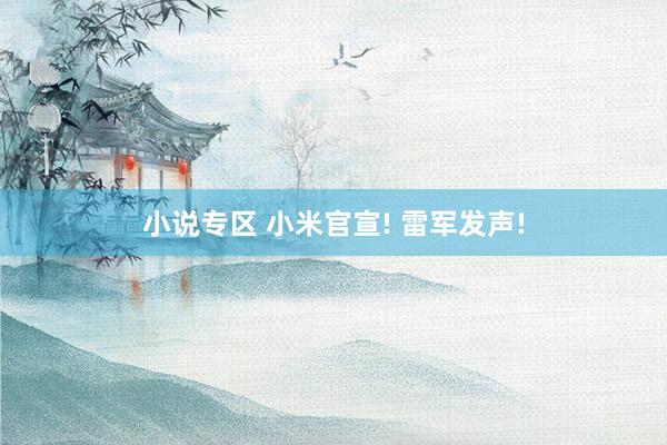 小说专区 小米官宣! 雷军发声!