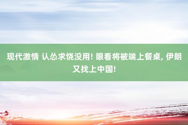 现代激情 认怂求饶没用! 眼看将被端上餐桌, 伊朗又找上中国!