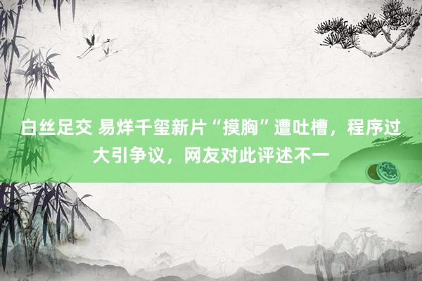 白丝足交 易烊千玺新片“摸胸”遭吐槽，程序过大引争议，网友对此评述不一