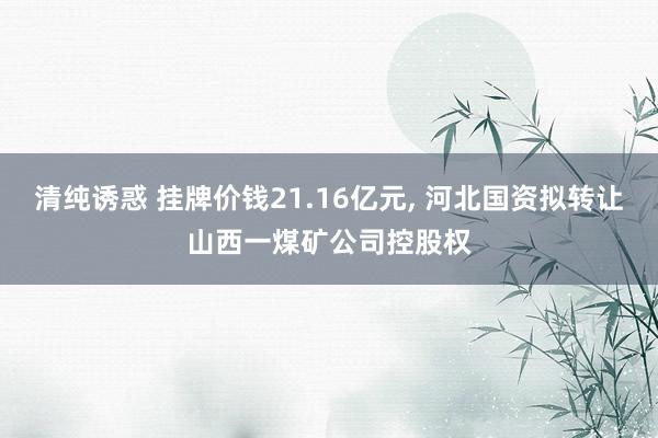 清纯诱惑 挂牌价钱21.16亿元, 河北国资拟转让山西一煤矿公司控股权