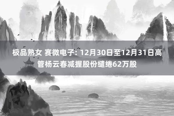 极品熟女 赛微电子: 12月30日至12月31日高管杨云春减握股份缱绻62万股