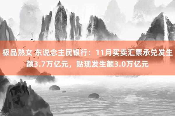 极品熟女 东说念主民银行：11月买卖汇票承兑发生额3.7万亿元，贴现发生额3.0万亿元