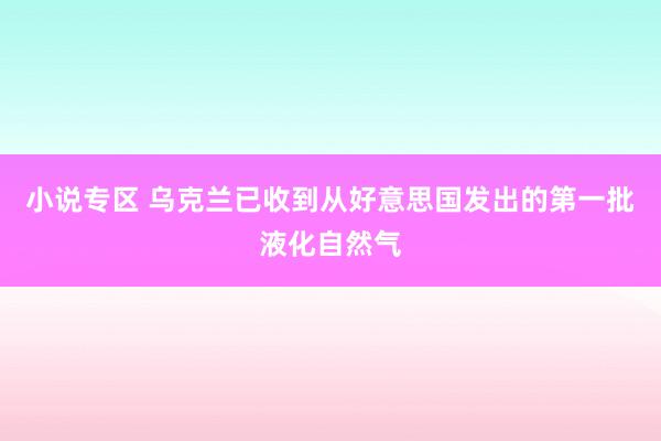 小说专区 乌克兰已收到从好意思国发出的第一批液化自然气