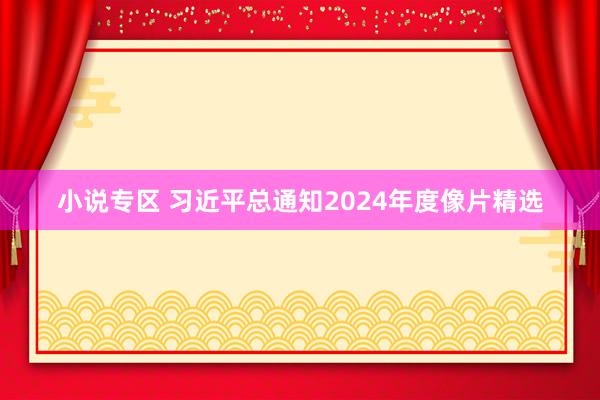 小说专区 习近平总通知2024年度像片精选