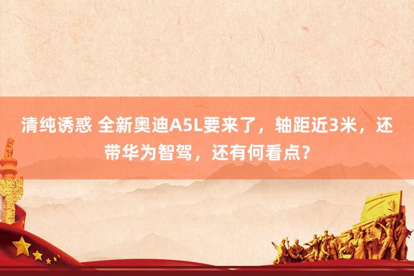 清纯诱惑 全新奥迪A5L要来了，轴距近3米，还带华为智驾，还有何看点？
