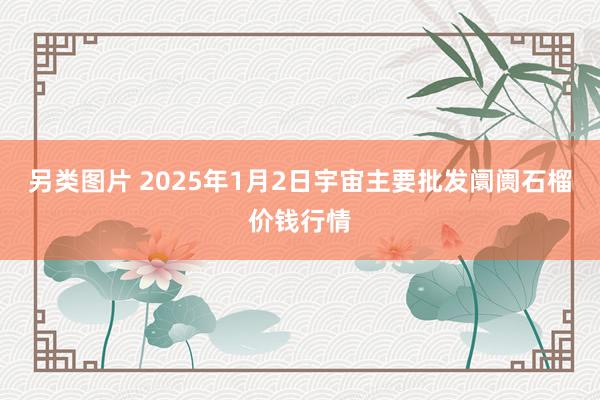 另类图片 2025年1月2日宇宙主要批发阛阓石榴价钱行情