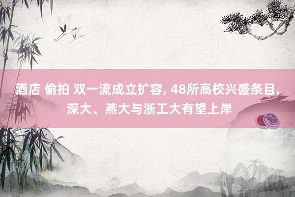 酒店 偷拍 双一流成立扩容, 48所高校兴盛条目, 深大、燕大与浙工大有望上岸