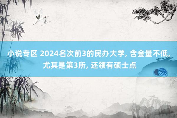 小说专区 2024名次前3的民办大学, 含金量不低, 尤其是第3所, 还领有硕士点
