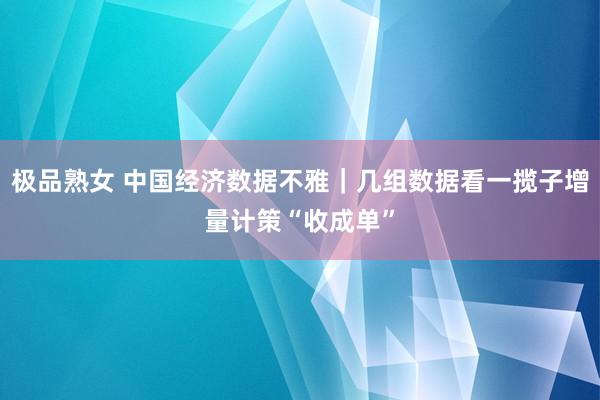 极品熟女 中国经济数据不雅｜几组数据看一揽子增量计策“收成单”