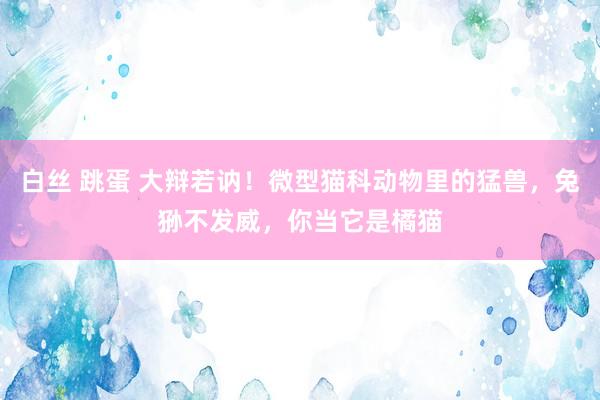 白丝 跳蛋 大辩若讷！微型猫科动物里的猛兽，兔狲不发威，你当它是橘猫