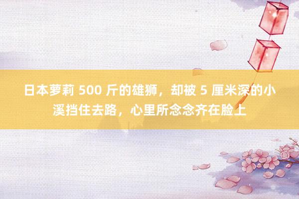 日本萝莉 500 斤的雄狮，却被 5 厘米深的小溪挡住去路，心里所念念齐在脸上