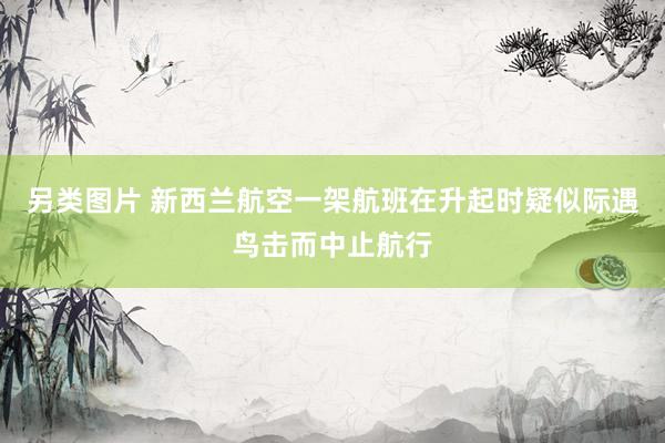 另类图片 新西兰航空一架航班在升起时疑似际遇鸟击而中止航行