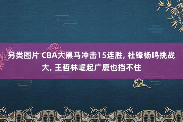 另类图片 CBA大黑马冲击15连胜, 杜锋杨鸣挑战大, 王哲林崛起广厦也挡不住