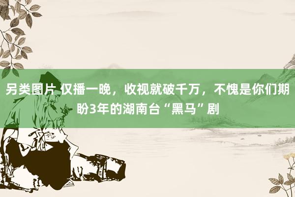 另类图片 仅播一晚，收视就破千万，不愧是你们期盼3年的湖南台“黑马”剧