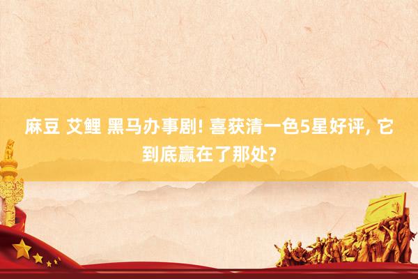 麻豆 艾鲤 黑马办事剧! 喜获清一色5星好评， 它到底赢在了那处?