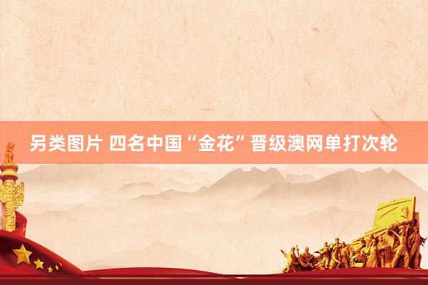 另类图片 四名中国“金花”晋级澳网单打次轮