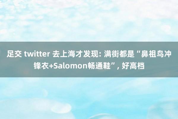 足交 twitter 去上海才发现: 满街都是“鼻祖鸟冲锋衣+Salomon畅通鞋”, 好高档