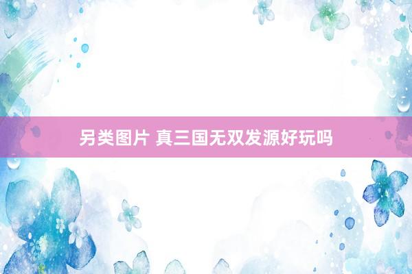 另类图片 真三国无双发源好玩吗