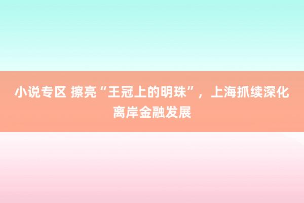 小说专区 擦亮“王冠上的明珠”，上海抓续深化离岸金融发展