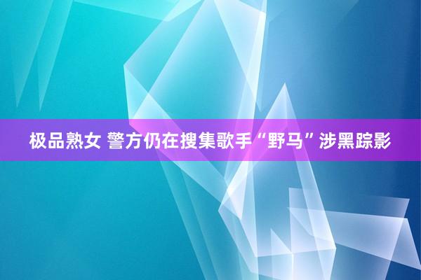 极品熟女 警方仍在搜集歌手“野马”涉黑踪影