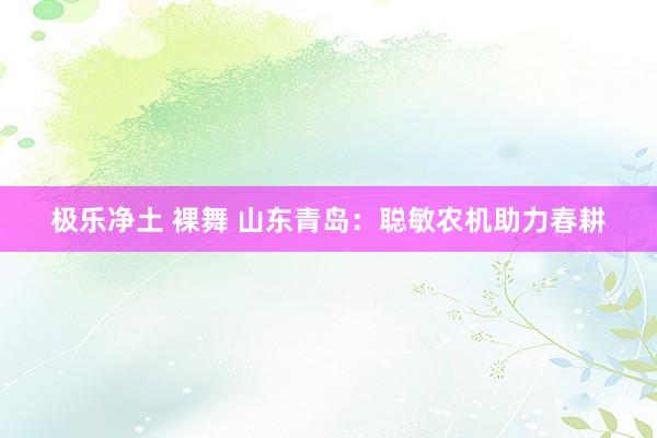 极乐净土 裸舞 山东青岛：聪敏农机助力春耕