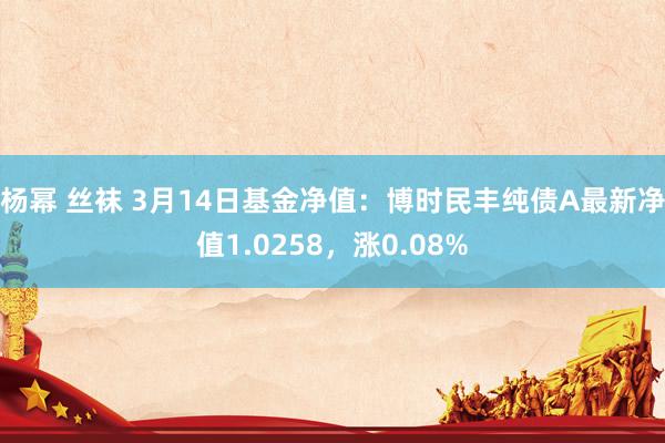 杨幂 丝袜 3月14日基金净值：博时民丰纯债A最新净值1.0258，涨0.08%