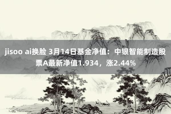 jisoo ai换脸 3月14日基金净值：中银智能制造股票A最新净值1.934，涨2.44%