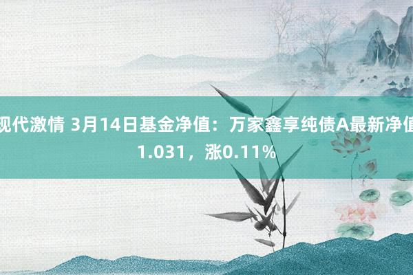 现代激情 3月14日基金净值：万家鑫享纯债A最新净值1.031，涨0.11%