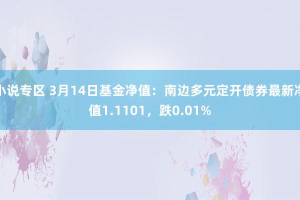 小说专区 3月14日基金净值：南边多元定开债券最新净值1.1101，跌0.01%
