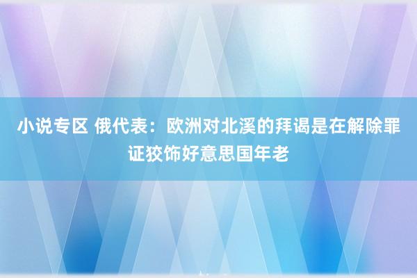 小说专区 俄代表：欧洲对北溪的拜谒是在解除罪证狡饰好意思国年老