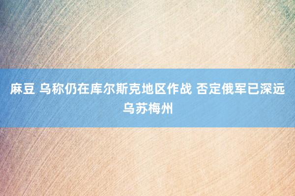 麻豆 乌称仍在库尔斯克地区作战 否定俄军已深远乌苏梅州