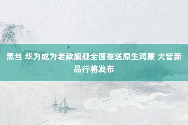 黑丝 华为或为老款旗舰全面推送原生鸿蒙 大皆新品行将发布