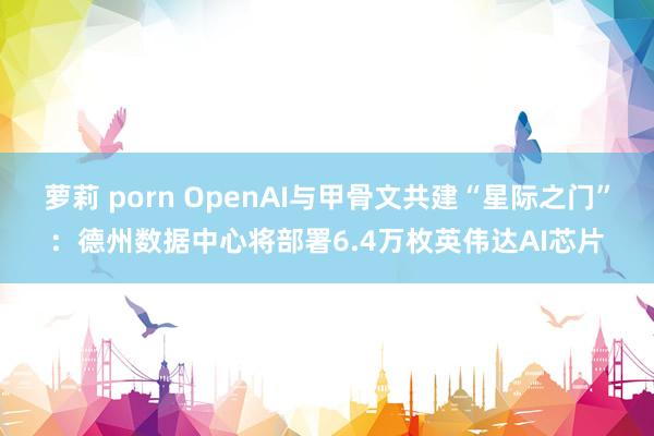 萝莉 porn OpenAI与甲骨文共建“星际之门”：德州数据中心将部署6.4万枚英伟达AI芯片
