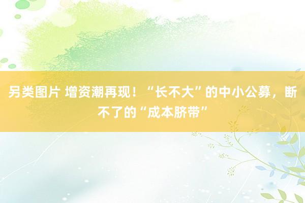 另类图片 增资潮再现！“长不大”的中小公募，断不了的“成本脐带”
