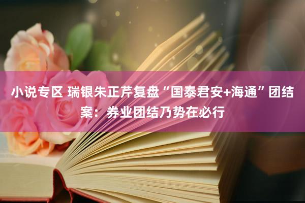 小说专区 瑞银朱正芹复盘“国泰君安+海通”团结案：券业团结乃势在必行