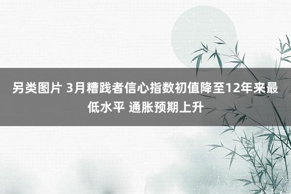 另类图片 3月糟践者信心指数初值降至12年来最低水平 通胀预期上升