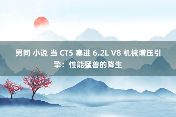 男同 小说 当 CT5 塞进 6.2L V8 机械增压引擎：性能猛兽的降生