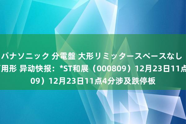 パナソニック 分電盤 大形リミッタースペースなし 露出・半埋込両用形 异动快报：*ST和展（000809）12月23日11点4分涉及跌停板