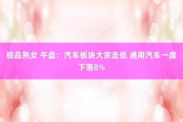 极品熟女 午盘：汽车板块大宗走低 通用汽车一度下落8%