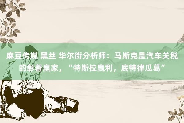 麻豆传媒 黑丝 华尔街分析师：马斯克是汽车关税的彰着赢家，“特斯拉赢利，底特律瓜葛”