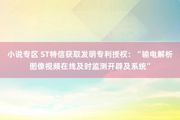 小说专区 ST特信获取发明专利授权：“输电解析图像视频在线及时监测开辟及系统”