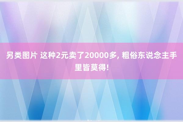 另类图片 这种2元卖了20000多, 粗俗东说念主手里皆莫得!