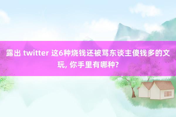 露出 twitter 这6种烧钱还被骂东谈主傻钱多的文玩, 你手里有哪种?