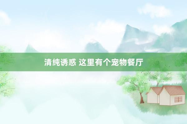 清纯诱惑 这里有个宠物餐厅