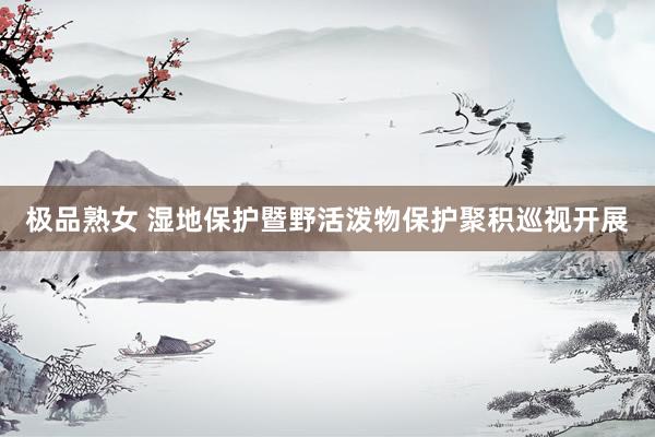 极品熟女 湿地保护暨野活泼物保护聚积巡视开展