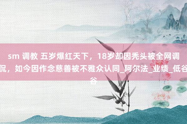 sm 调教 五岁爆红天下，18岁却因秃头被全网调侃，如今因作念慈善被不雅众认同_阿尔法_业绩_低谷