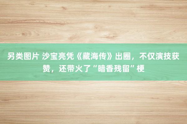 另类图片 沙宝亮凭《藏海传》出圈，不仅演技获赞，还带火了“暗香残留”梗