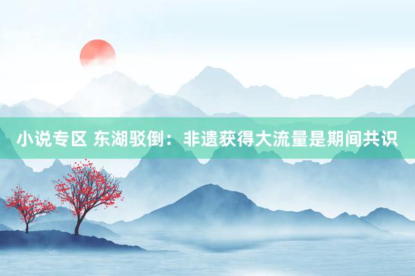 小说专区 东湖驳倒：非遗获得大流量是期间共识